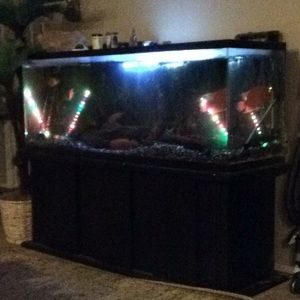 Meet your Posher, Jamila